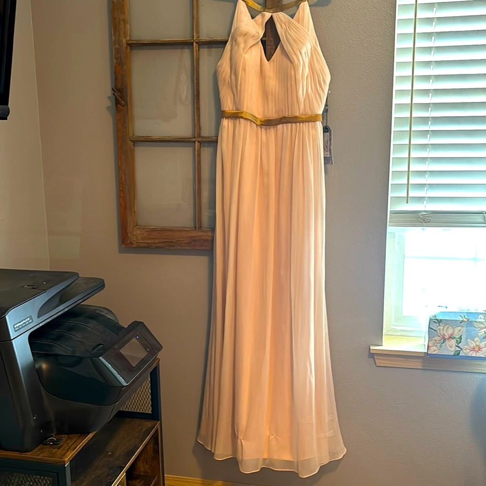 Such a beautiful dress! Brand new with tags!